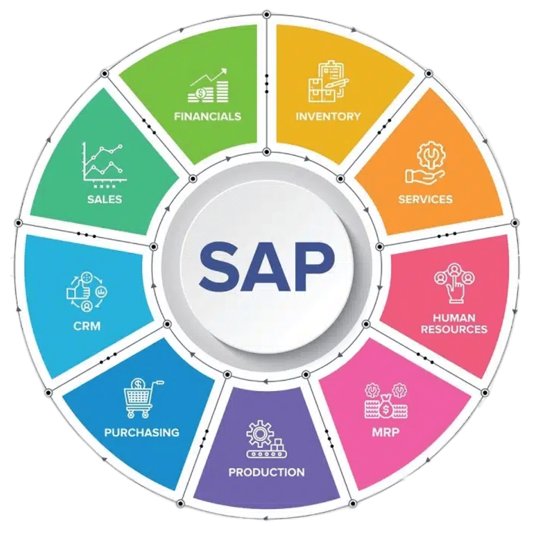 Why Sap Mdg Techno-functional?